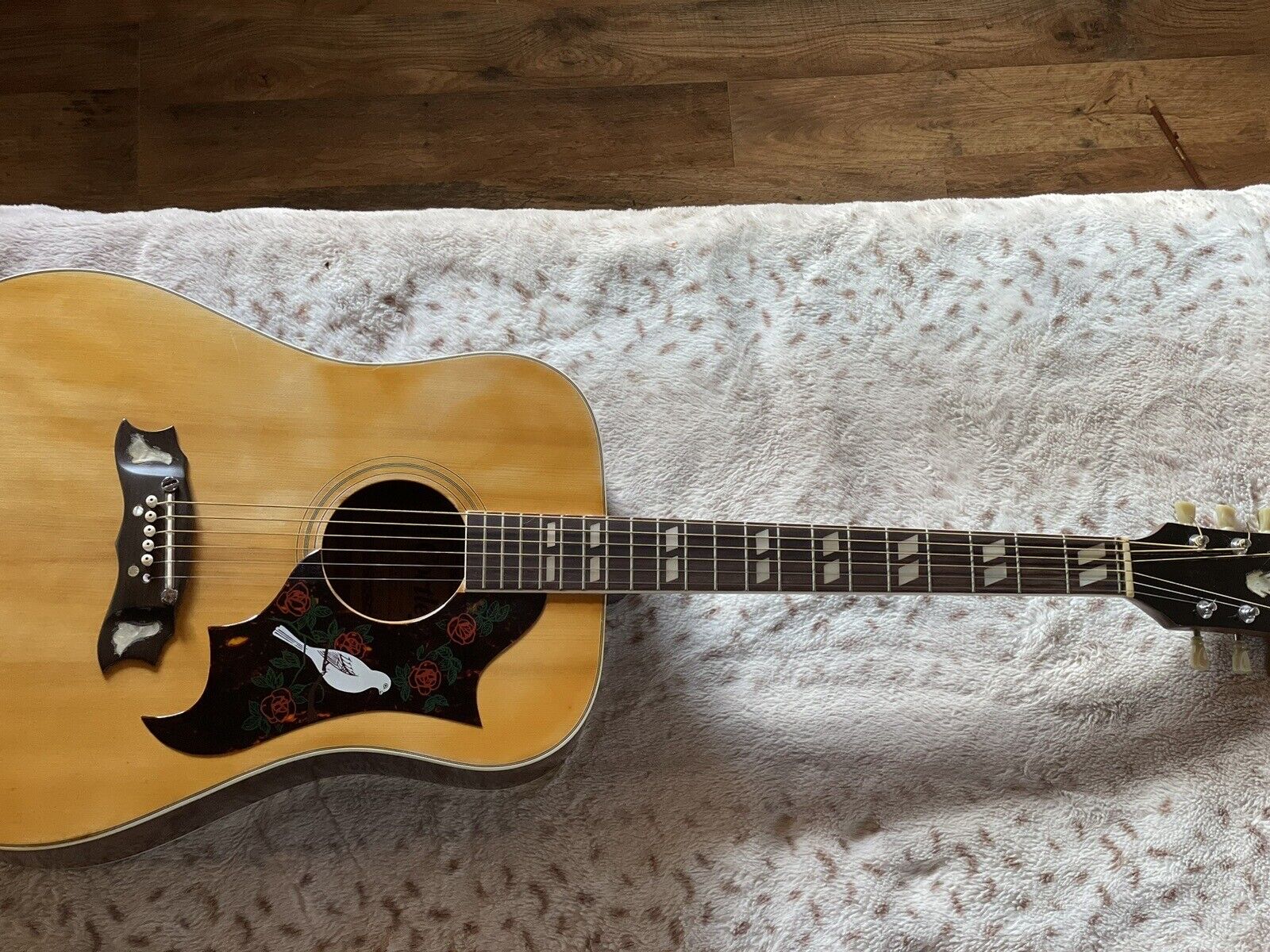 Cortley Dove Guitar 7