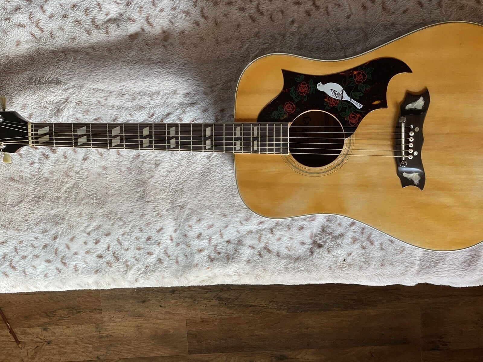 Cortley Dove Guitar 8