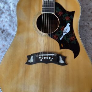 Cortley Dove Guitar - Image 9