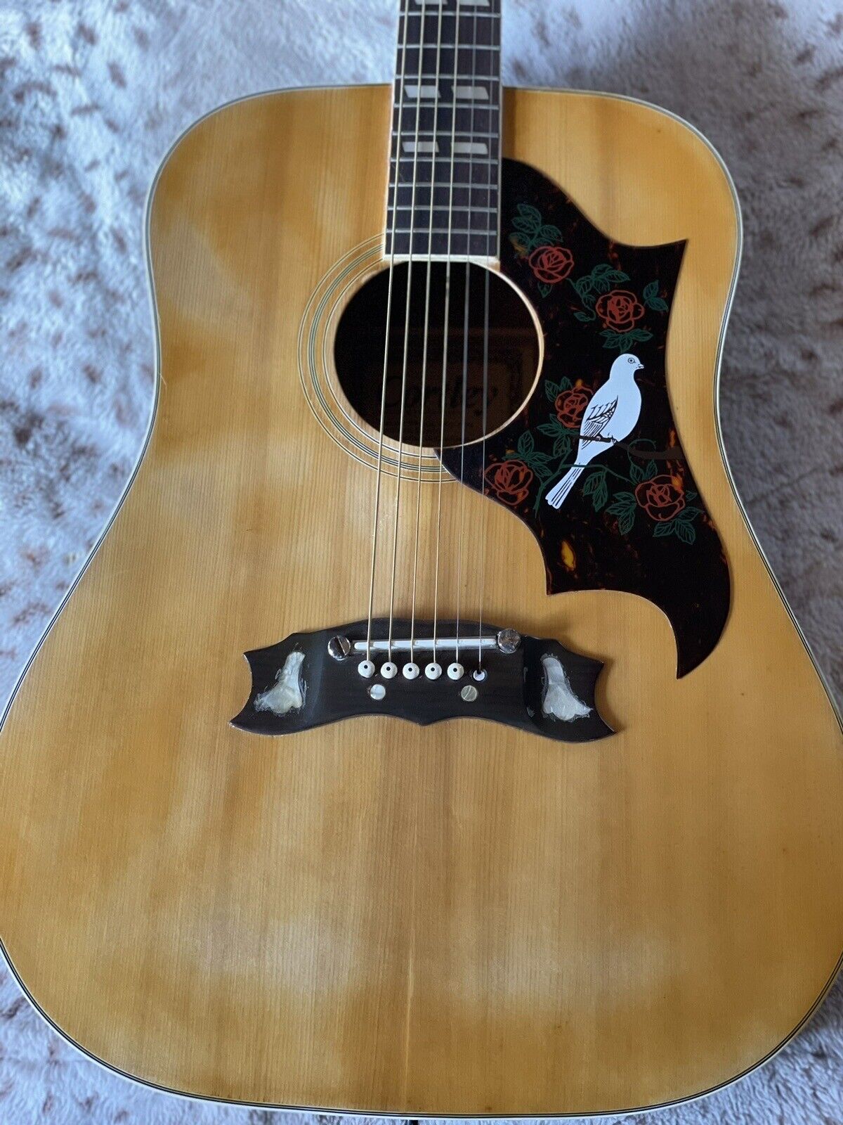 Cortley Dove Guitar 9