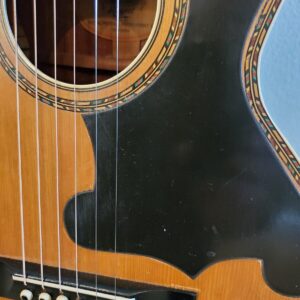 Vintage 1930s Regal Parlor Guitar - Lyon & Healy Quality Built - Image 6