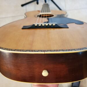 Vintage 1930s Regal Parlor Guitar - Lyon & Healy Quality Built - Image 14