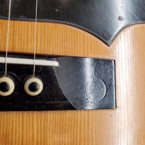 Vintage 1930s Regal Parlor Guitar - Lyon & Healy Quality Built - Image 21