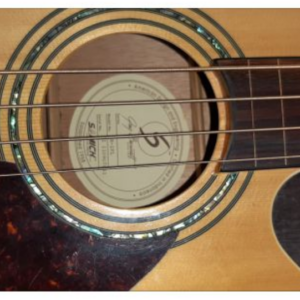 Acoustic Bass Guitar Greg Bennett Design AB-2FL Natural - Image 6