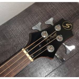 Acoustic Bass Guitar Greg Bennett Design AB-2FL Natural - Image 8