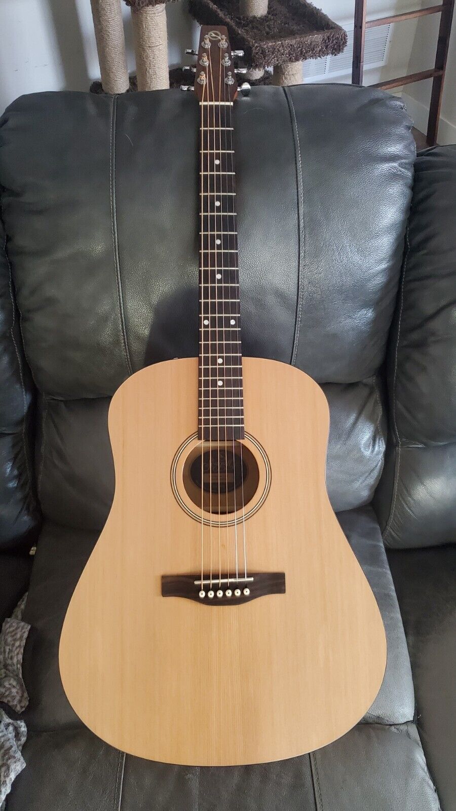 Seagull S6 Collection 1982 Acoustic Guitar 1