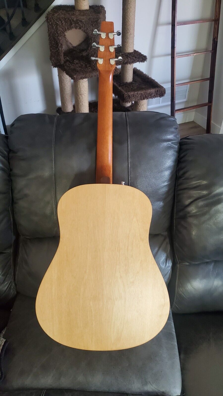 Seagull S6 Collection 1982 Acoustic Guitar 5