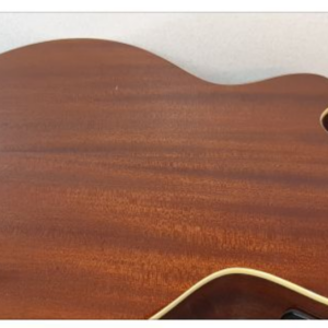 Acoustic Bass Guitar Greg Bennett Design AB-2FL Natural - Image 11
