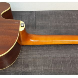 Acoustic Bass Guitar Greg Bennett Design AB-2FL Natural - Image 12