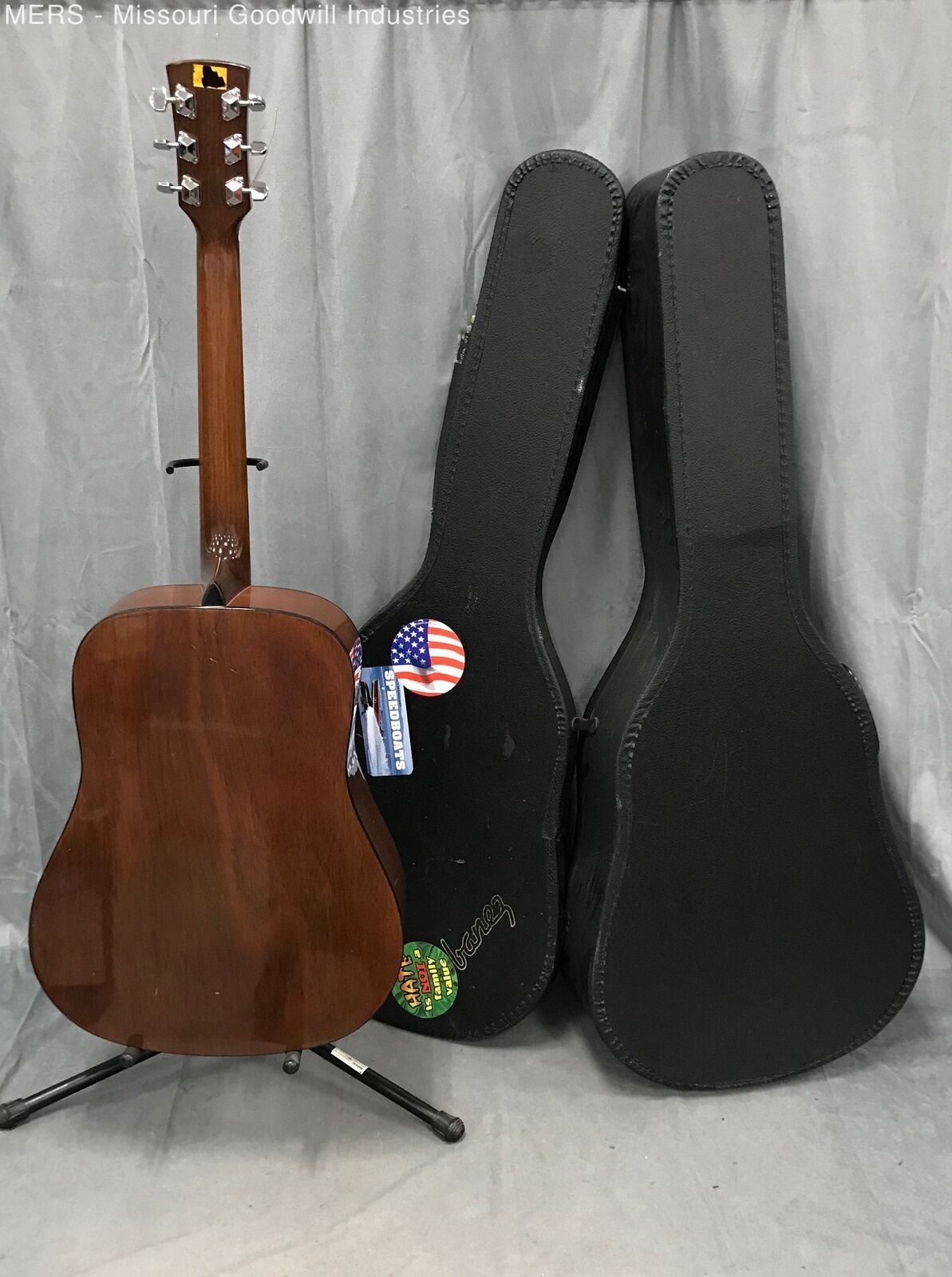 Ibanez Acoustic Guitar 5