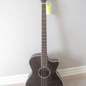 Michael Kelly MKVAB4BKF Acoustic/Electric 4-string Bass Guitar with Hard Case - Image 1