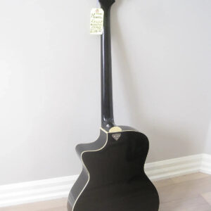 Michael Kelly MKVAB4BKF Acoustic/Electric 4-string Bass Guitar with Hard Case - Image 3