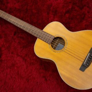 Michael Kelly MKVAB4BKF Acoustic/Electric 4-string Bass Guitar with Hard Case - Image 5