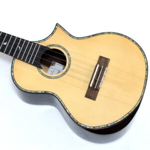 21 Inch Professional Acoustic Ukelele Four String Wooden For Beginner Kit W/ Bag - Image 7