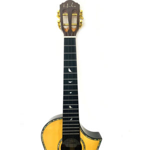 21 Inch Professional Acoustic Ukelele Four String Wooden For Beginner Kit W/ Bag - Image 8