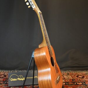 Rare c1941 Harmony 10 String Tiple Guitar Model H870 Beautiful Condition w/ case - Image 4