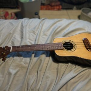 sunny d ukulele - Image 1