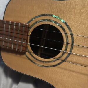 sunny d ukulele - Image 5