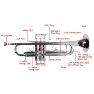 School Band Student Professional Concert Brass Student Bb Trumpet Silver - Image 6