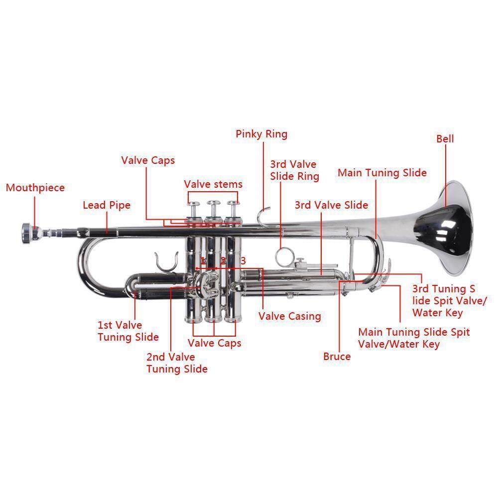 School Band Student Professional Concert Brass Student Bb Trumpet Silver 6
