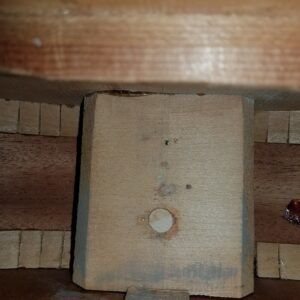 Regal Parlor Guitar -- Vintage - Image 5