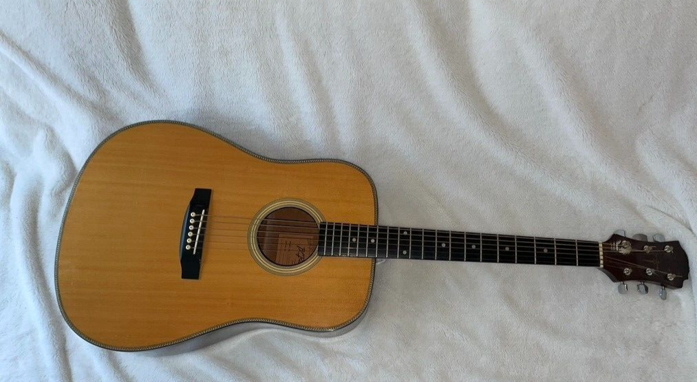 Vintage Acoustic Guitar BC Rich BW1000 Dreadnaught 10