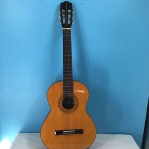 CARLOS Natural Acoustic Guitar Model:228 In Hard Case - Image 2