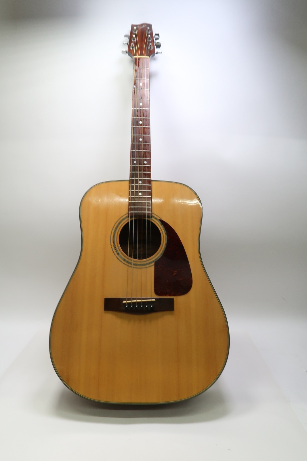 Fender F-210 Acoustic Guitar 1646 1