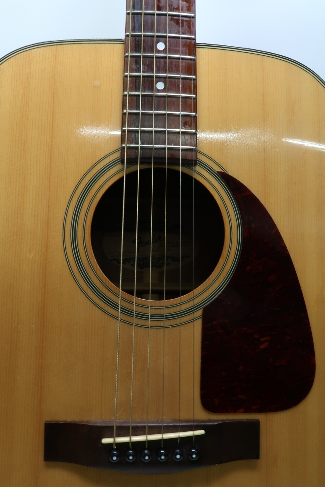 Fender F-210 Acoustic Guitar 1646 3