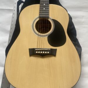 peavey acoustic guitar used With Peavey Soft Case - Image 2