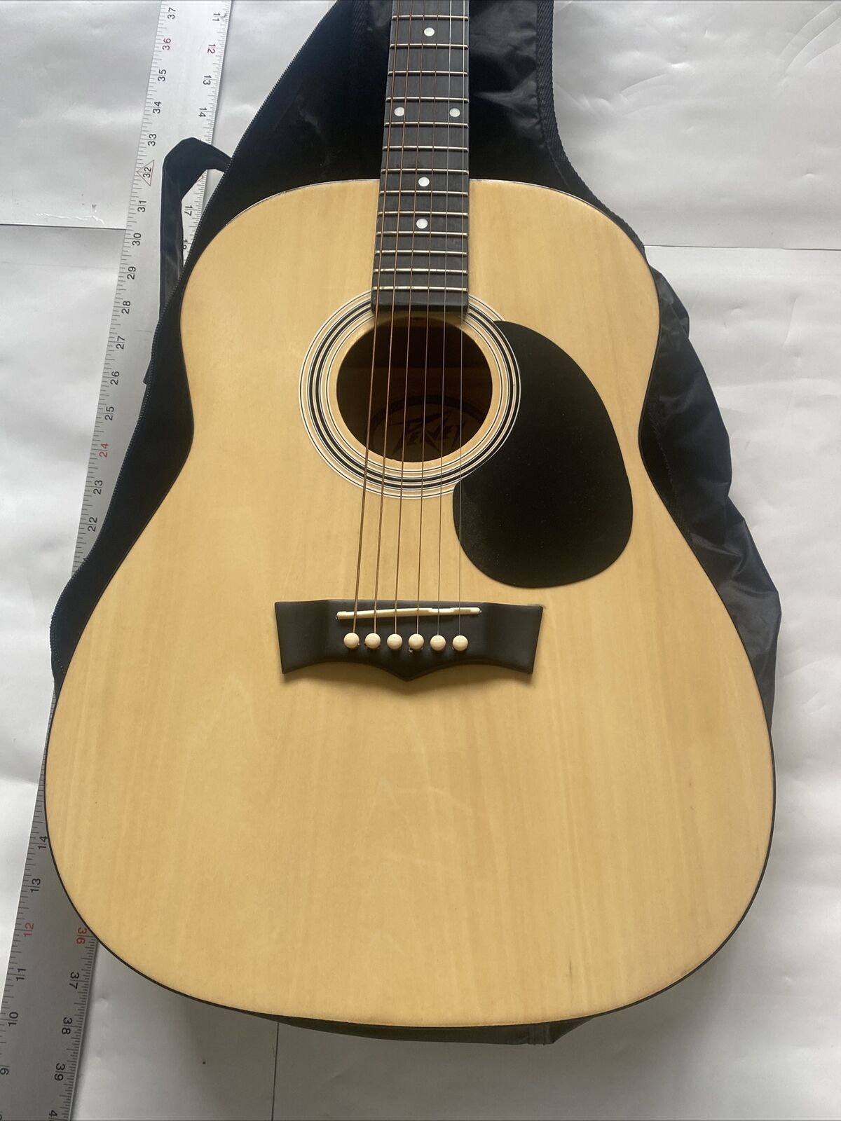 peavey acoustic guitar used With Peavey Soft Case 2