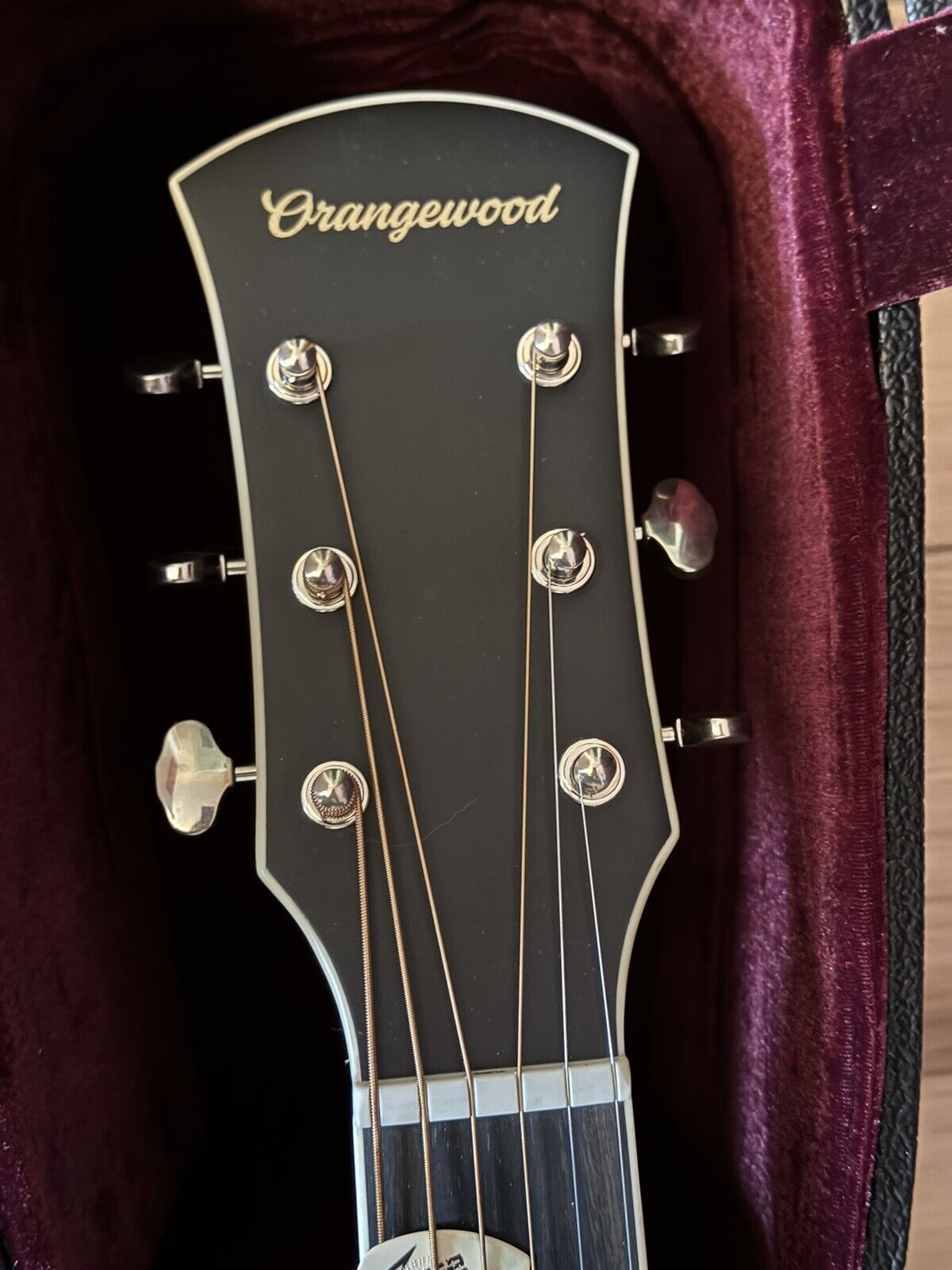 Orangewood Acoustic Guitar Hudson Torrefied Spruce dreadnought 2
