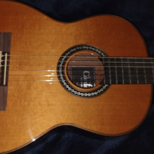 CORDOBA C-10 SOLID CEDAR SOLID ROSEWOOD CLASSICAL ACOUSTIC GUITAR - Image 2
