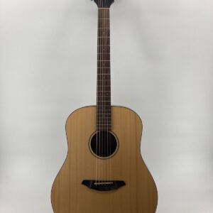 Breedlove Acoustic Passport Guitar D200/SMP. - Image 1