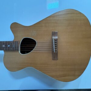 Ferrington Custom Acoustic Guitar with Bag, Tuner. - Image 1