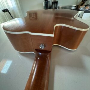 Ferrington Custom Acoustic Guitar with Bag, Tuner. - Image 9