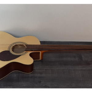 Acoustic Bass Guitar Greg Bennett Design AB-2FL Natural - Image 1