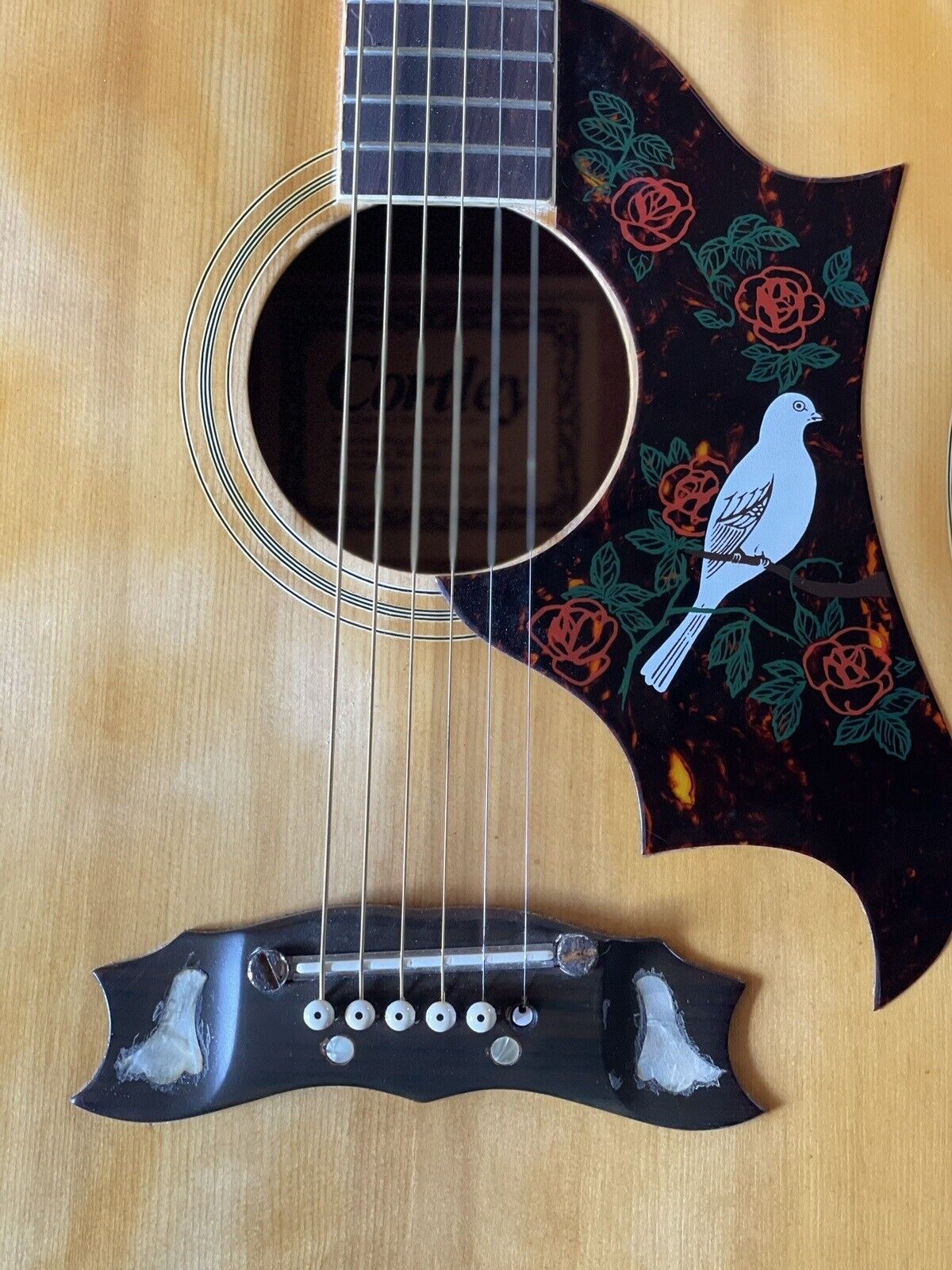 Cortley Dove Guitar 1