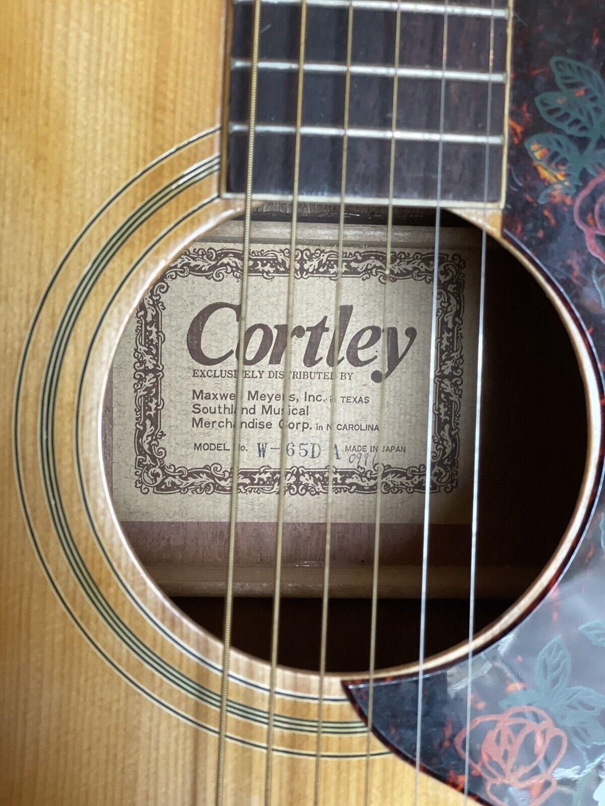 Cortley Dove Guitar 3