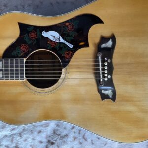 Cortley Dove Guitar - Image 6