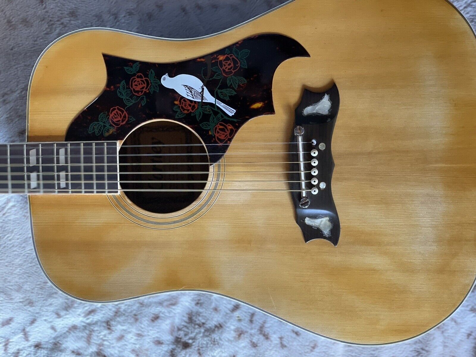 Cortley Dove Guitar 6
